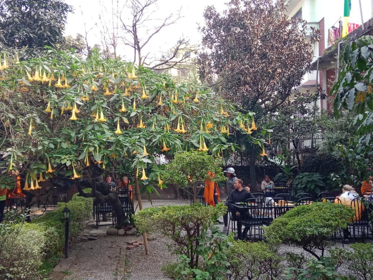 كاتماندو Hotel Lotus Garden المظهر الخارجي الصورة